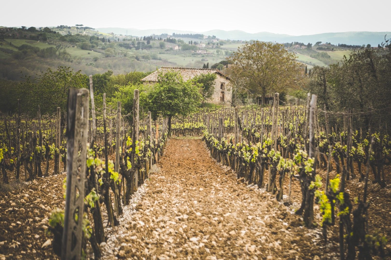 From The Past To The Modernity - A Walk Into Chianti's Wineries - Enjoy ...